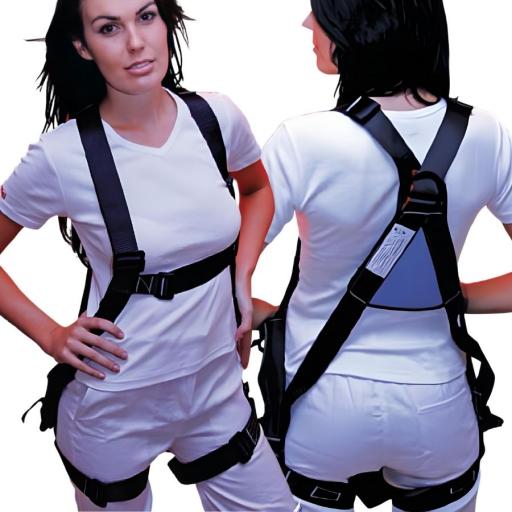 BETA Fall Arrest Harness - Patented